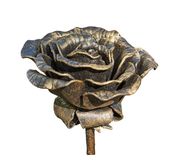 istock Rose handmade forged from metal. Isolated on a white background 955771558