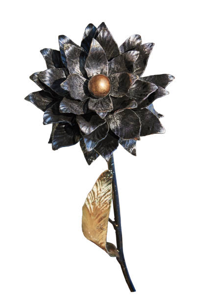 istock Black dahlia handmade forged from metal. Isolated on a white background 955771648