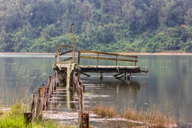 istock Ruined wood pier 955772930