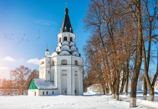 church-bell tower and flying birds