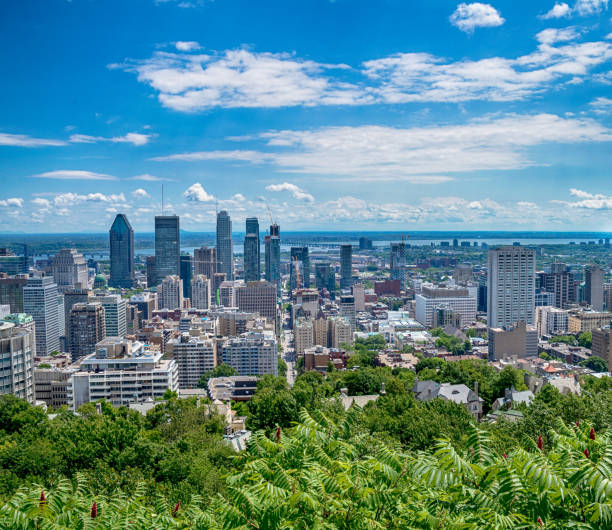 istock View of Montreal city in Canada 955777042
