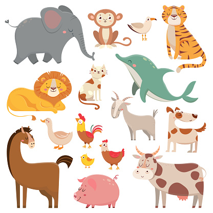 Child cartoons elephant, gull, dolphin, wild animal. Cute pet, farm and jungle animals vector cartoon characters