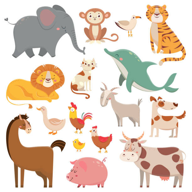 Child cartoons elephant, gull, dolphin, wild animal. Pet, farm and jungle animals vector cartoon illustration collection Child cartoons elephant, gull, dolphin, wild animal. Cute pet, farm and jungle animals vector cartoon characters female animal mammal animal lion stock illustrations