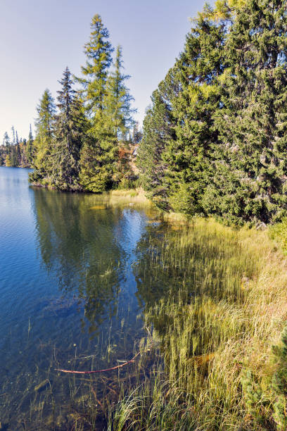 istock Strbske Lake landscape in Slovakia. 955787190
