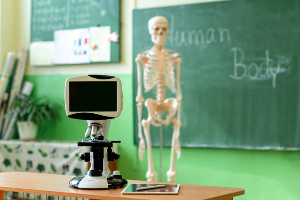 aula de biología. esqueleto humano artificial, escritorio del estudiante con microskope y tableta digital. ayuda de enseñanza de anatomía. concepto de educación y la generación z. - anatomy classroom human skeleton student fotografías e imágenes de stock