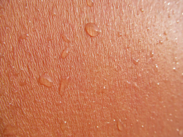 istock Male wet skin with water drops. 955791506