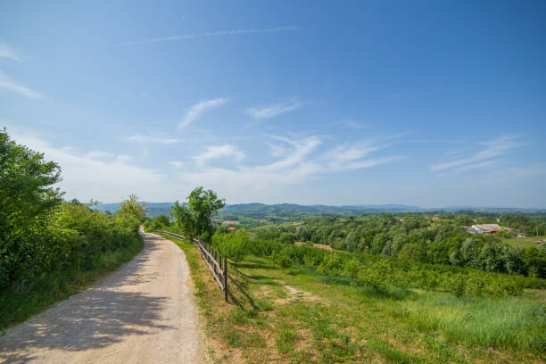 istock Rural road passing a village surrounded with forest, sunny day scene. 955794772