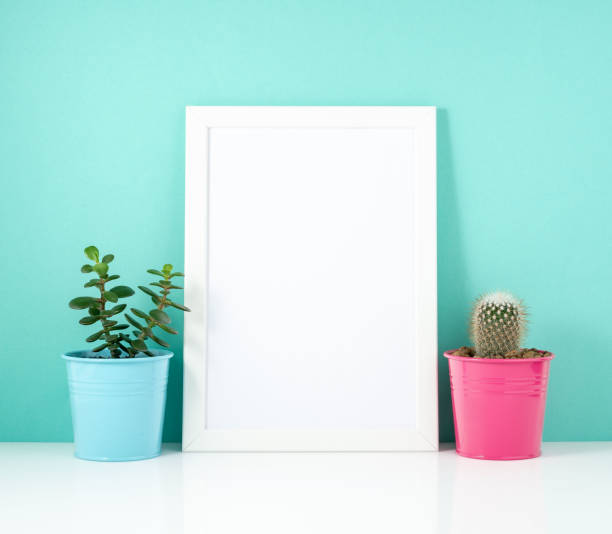 istock Blank white frame, plant cactus on white table against the blue wall. Mockup with copy space. 955796084
