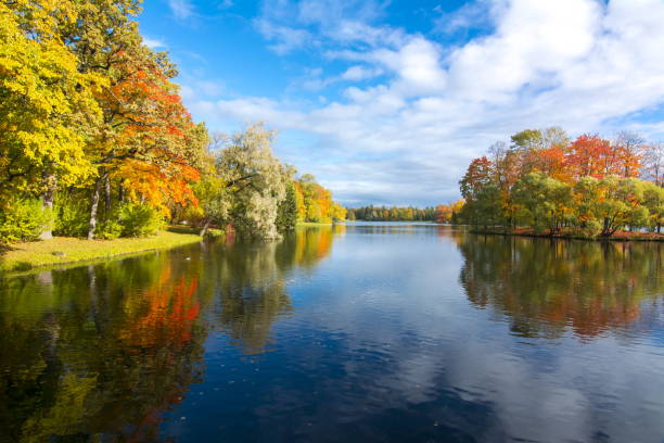 istock Autumn foliage with reflection in water 955796306