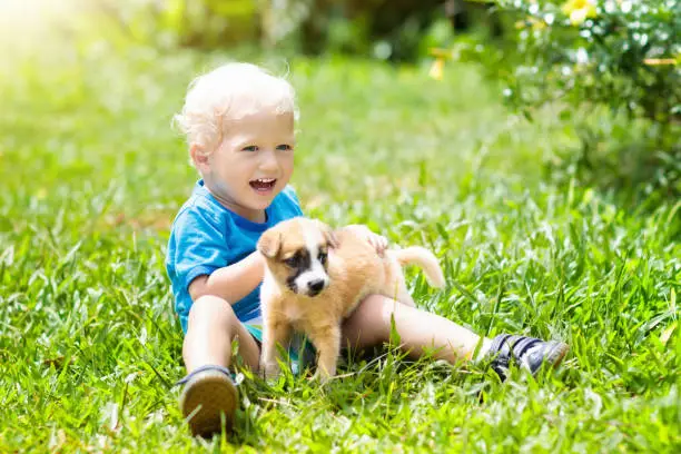 Kids play with cute little puppy. Children and baby dogs playing in sunny summer garden. Little girl holding puppies. Child with pet dog. Family and pets on park lawn. Kid and animals friendship.