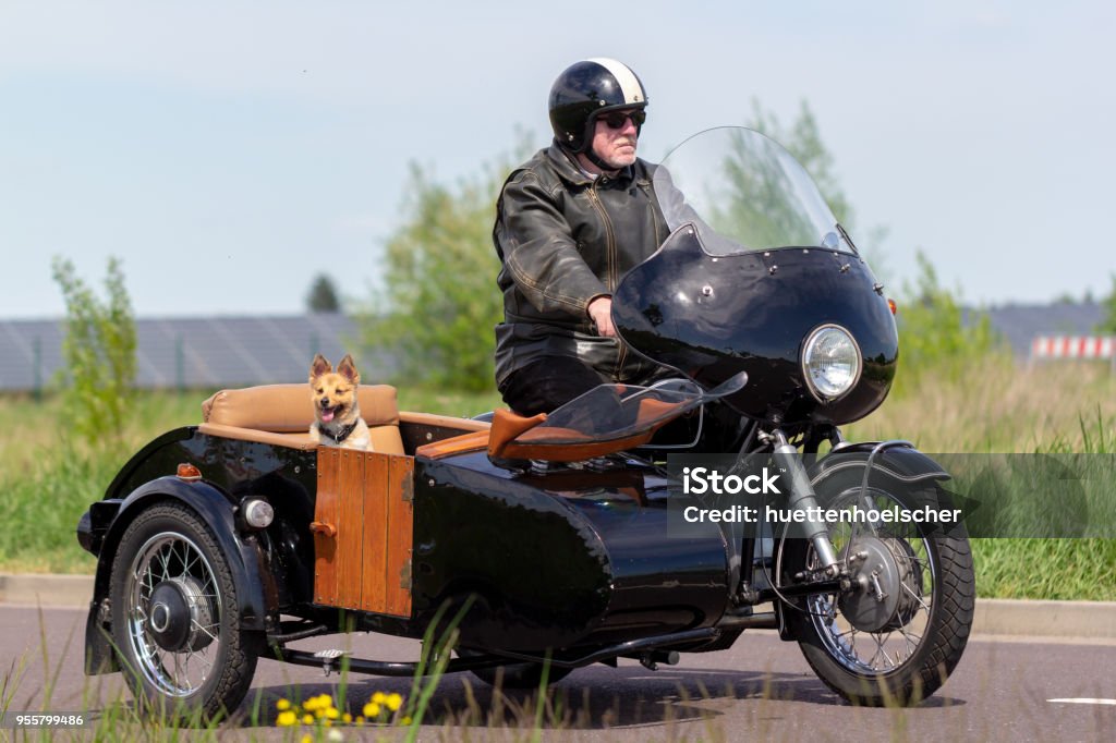 A Shetland Sheepdog is sitting in a motorbike side car Sidecar Stock Photo
