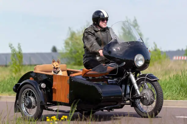 A Shetland Sheepdog is sitting in a motorbike side car
