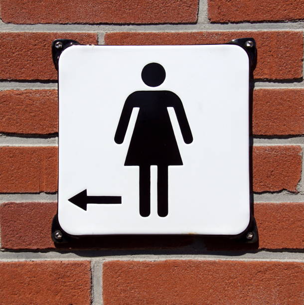 istock Toilet sign female - WC 955799830