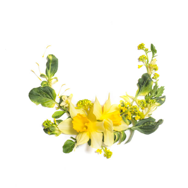 istock Floral composition with yellow flowers on white background 955813542