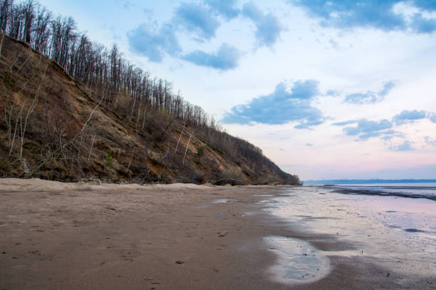 The high steep coastline Baltic sea covered with trees and vegetation. Donskoye, Svetlogorsk District