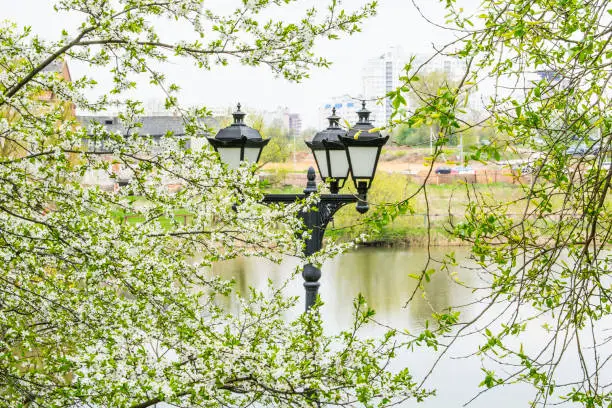 Black metal lantern with two tourist sign in a green park. Black lantern in a the background of trees and blue sky