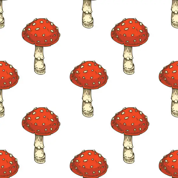 Vector illustration of Seamless Pattern. Red Amanita Fly Agaric Mushroom
