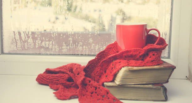 istock books with cup of coffee on window 955827918