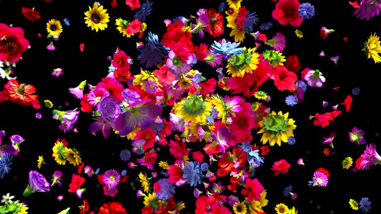 Exploding colorful flowers in 4K