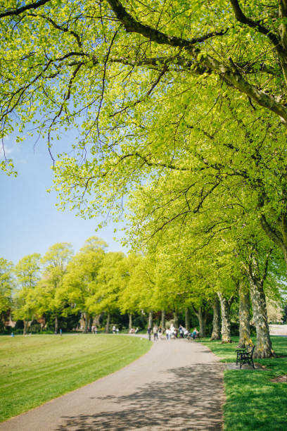 istock Green park in United Kingdom 955836584