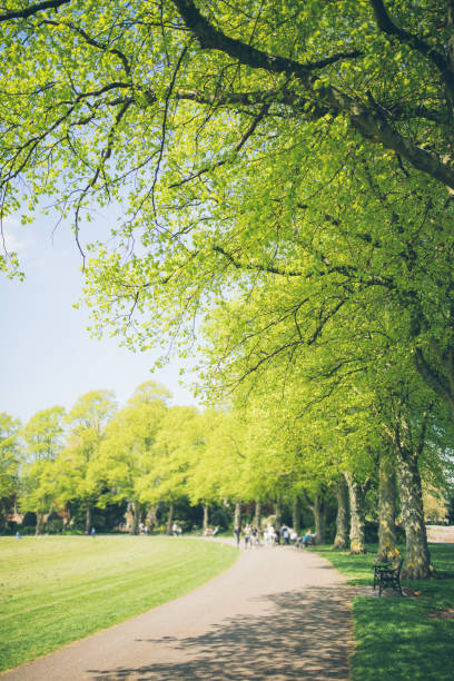 istock Green park in United Kingdom 955836692