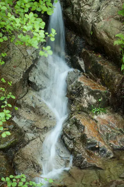 retail of mountain waterwall at spring