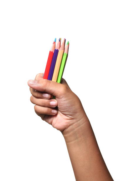 istock hand hold color pencils, isolated on white 955840802