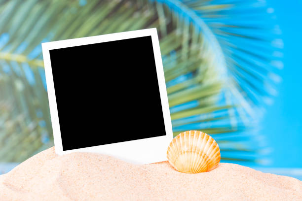 夏の背景 - isolated polaroid ストックフォトと画像