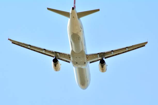 istock Passenger plane is flying up from runway of airport 955844600