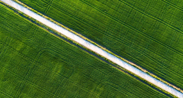 istock Road on the field. Agricultural landscape from air 955845234