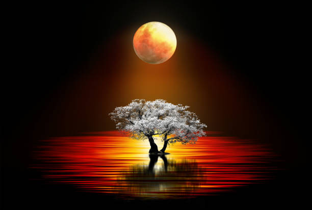 istock light of the red moon 955845624
