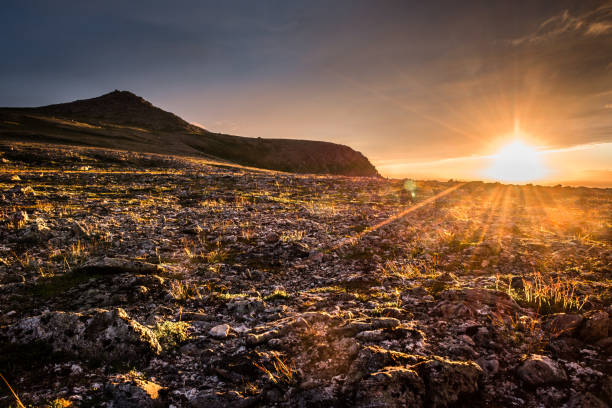 Midnight sun on a polar day in the mountains Midnight sun on a polar day in the mountains near Nordkapp, Norway, with sun flare and sunlit tundra vegetation and rocks finnmark stock pictures, royalty-free photos & images