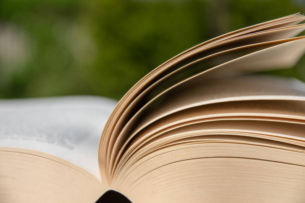 istock Book on a wooden table. Cards moved by the wind. 955854330