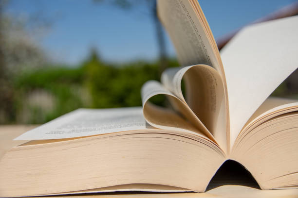 istock Book on a wooden table. Cards moved by the wind. 955854478
