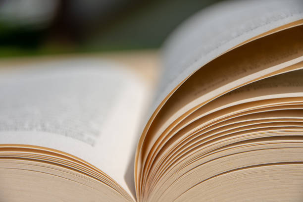 istock Book on a wooden table. Cards moved by the wind. 955854562