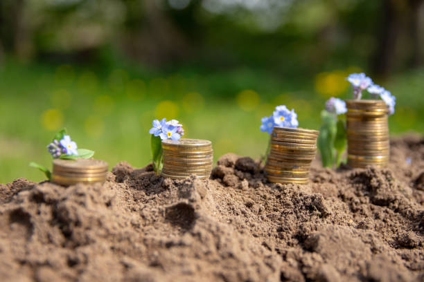 istock stacks of money saved with blue flowers 955855130