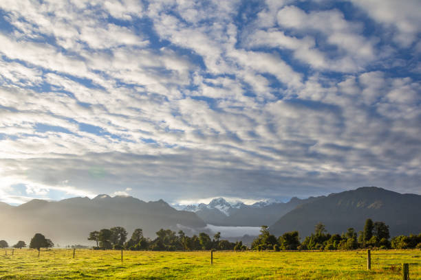 Sunrise over New Zealand's Southern Alps A beautiful sunny day dawns near Fox Glacier on the West Coast of New Zealand's South Island.  While golden rays brighten the green fields, steaks of fluffy clouds pattern the blue sky stratus clouds stock pictures, royalty-free photos & images