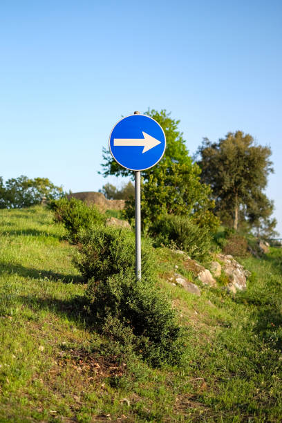 right way road sign in nature stock photo