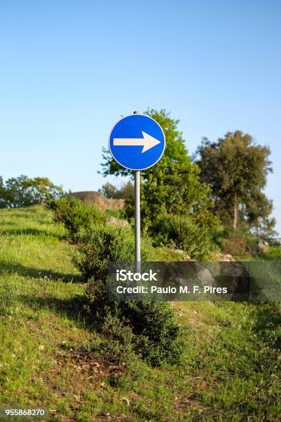 Right Way Road Sign In Nature Stock Photo - Download Image Now - Accessibility, Advice, Blue
