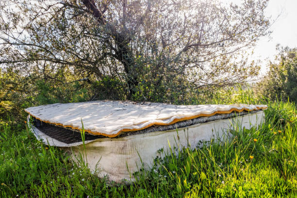 abandoned old mattress among woods stock photo