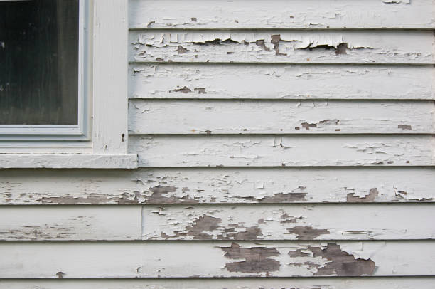 사이 딩에 흰색 페인트를 필 링 - paint peeling wall cracked 뉴스 사진 이미지