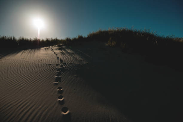 Footprints on sands, White Sands National Park, New Mexico, USA (Taken with iPhone)