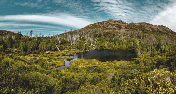 tanque de betesda, muralhas de jerusalém np, tasmânia - parque nacional das muralhas de jerusalém - fotografias e filmes do acervo