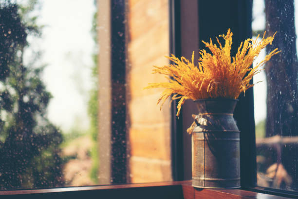 istock small plant in coffee cafe. 955887190