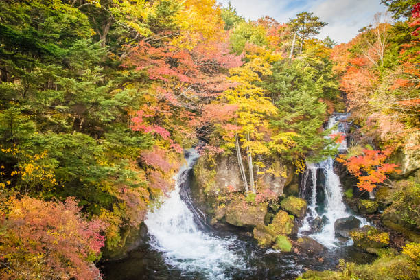istock Ryuzu fall at Nikko national park in autumn 955889482