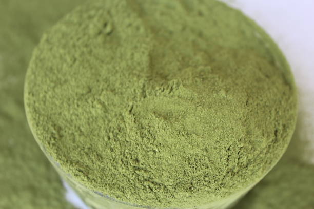 istock Echinacea Purpurea Herb Powder 955889526