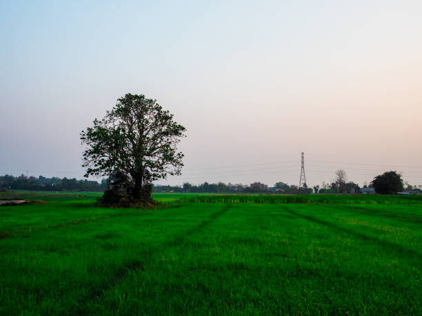 istock Beautiful natural landscape in the summer time. 955895566