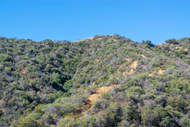 istock Reaching the top of trail 955895674