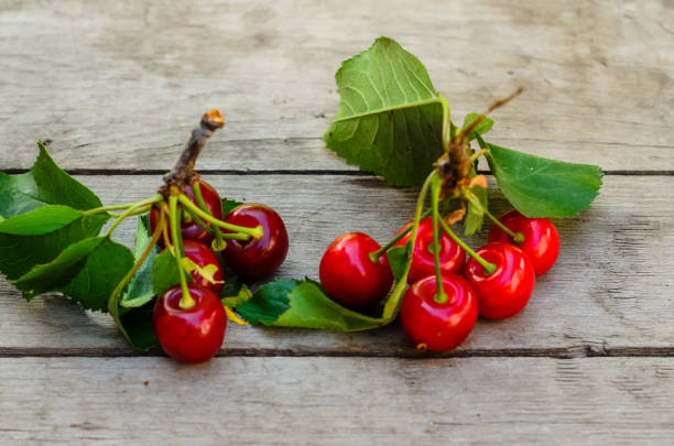 istock Fresh ripe cherries on wooden table 955899520