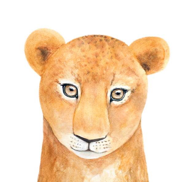 ilustrações de stock, clip art, desenhos animados e ícones de watercolor portrait of young african lioness character. - undomesticated cat white background pattern isolated